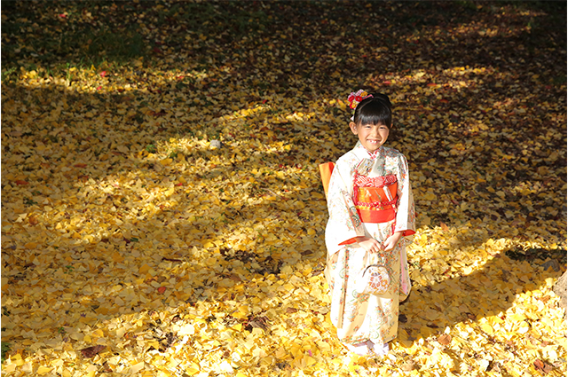 slide_75308